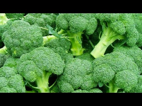 Brokoli: Sağlık Açısından Sunduğu Yararlar